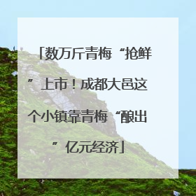 数万斤青梅“抢鲜”上市！成都大邑这个小镇靠青梅“酿出”亿元经济