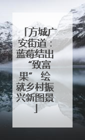 方城广安街道：蓝莓结出 “致富果” 绘就乡村振兴新图景