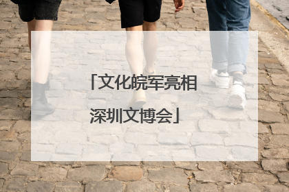 文化皖军亮相深圳文博会