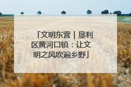 文明东营｜垦利区黄河口镇：让文明之风吹遍乡野