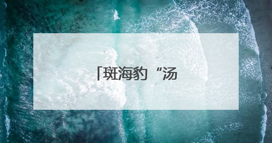 斑海豹“汤圆”归海记