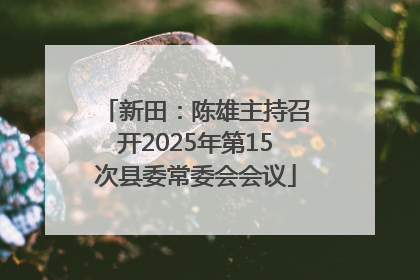 新田：陈雄主持召开2025年第15次县委常委会会议