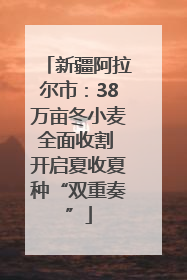新疆阿拉尔市：38万亩冬小麦全面收割 开启夏收夏种“双重奏”