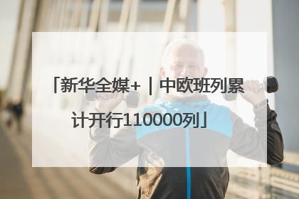 新华全媒+｜中欧班列累计开行110000列