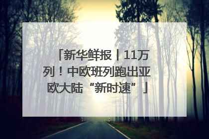 新华鲜报丨11万列！中欧班列跑出亚欧大陆“新时速”