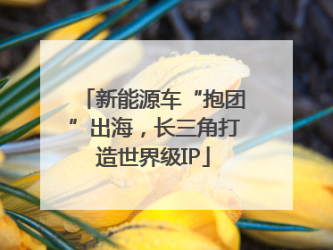 新能源车“抱团”出海，长三角打造世界级IP