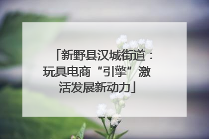 新野县汉城街道：玩具电商“引擎”激活发展新动力