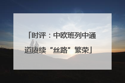 时评：中欧班列中通道赓续“丝路”繁荣