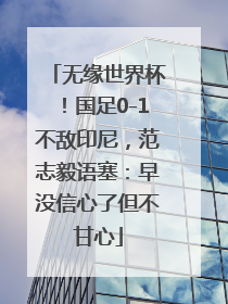 无缘世界杯！国足0-1不敌印尼，范志毅语塞：早没信心了但不甘心