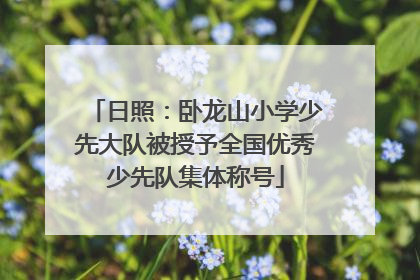 日照：卧龙山小学少先大队被授予全国优秀少先队集体称号