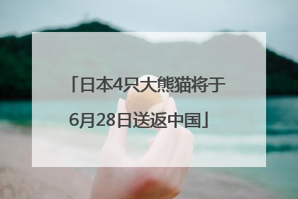 日本4只大熊猫将于6月28日送返中国