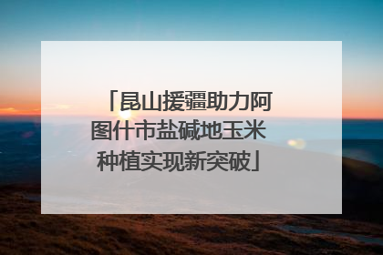 昆山援疆助力阿图什市盐碱地玉米种植实现新突破