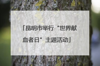 昆明市举行“世界献血者日”主题活动