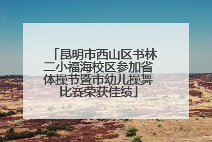 昆明市西山区书林二小福海校区参加省体操节暨市幼儿操舞比赛荣获佳绩