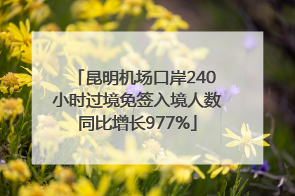 昆明机场口岸240小时过境免签入境人数同比增长977%