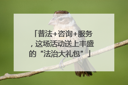普法+咨询+服务，这场活动送上丰盛的“法治大礼包”