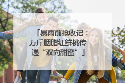 暴雨前抢收记：万斤胭脂红鲜桃传递“双向甜蜜”