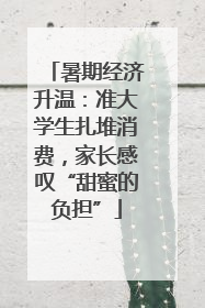 暑期经济升温：准大学生扎堆消费，家长感叹“甜蜜的负担”