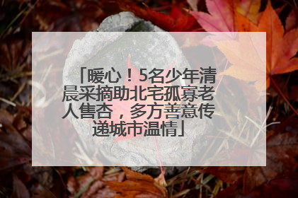 暖心！5名少年清晨采摘助北宅孤寡老人售杏，多方善意传递城市温情
