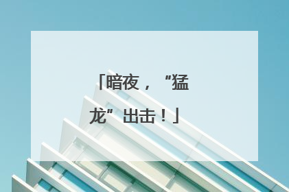 暗夜，“猛龙”出击！