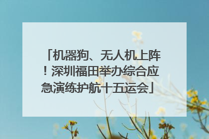 机器狗、无人机上阵！深圳福田举办综合应急演练护航十五运会