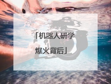 机器人研学爆火背后