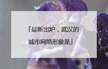 最新出炉，武汉的城市网络形象是