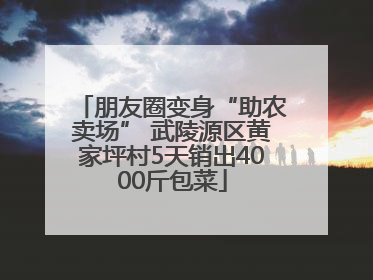 朋友圈变身“助农卖场” 武陵源区黄家坪村5天销出4000斤包菜