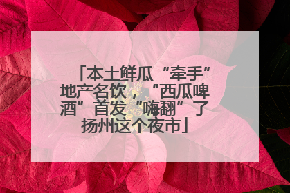 本土鲜瓜“牵手”地产名饮，“西瓜啤酒”首发“嗨翻”了扬州这个夜市