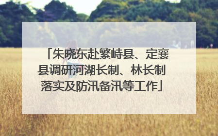 朱晓东赴繁峙县、定襄县调研河湖长制、林长制落实及防汛备汛等工作