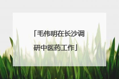 毛伟明在长沙调研中医药工作