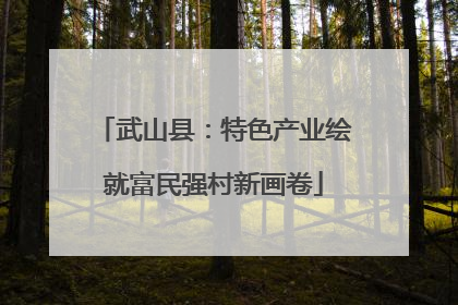 武山县：特色产业绘就富民强村新画卷