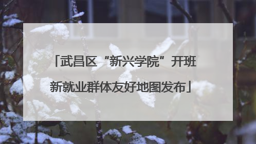 武昌区“新兴学院”开班 新就业群体友好地图发布