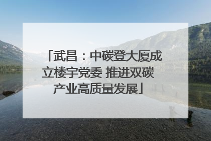 武昌：中碳登大厦成立楼宇党委 推进双碳产业高质量发展