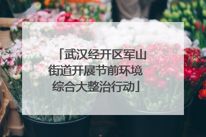 武汉经开区军山街道开展节前环境综合大整治行动