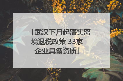 武汉下月起落实离境退税政策 33家企业具备资质