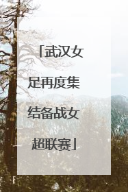 武汉女足再度集结备战女超联赛