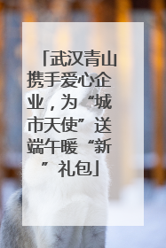 武汉青山携手爱心企业，为“城市天使”送端午暖“新”礼包