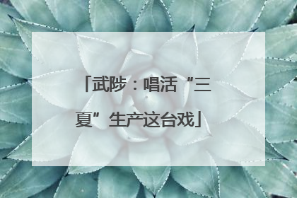 武陟：唱活“三夏”生产这台戏