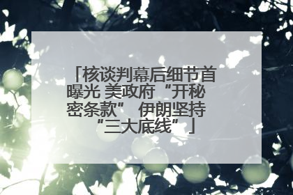 核谈判幕后细节首曝光 美政府“开秘密条款” 伊朗坚持“三大底线”