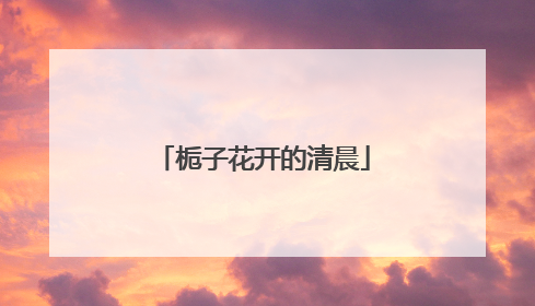 栀子花开的清晨