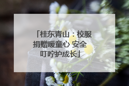 桂东青山：校服捐赠暖童心 安全叮咛护成长