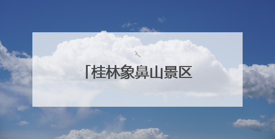 桂林象鼻山景区入园制度反复调整：一年不到又恢复实名制分时预约