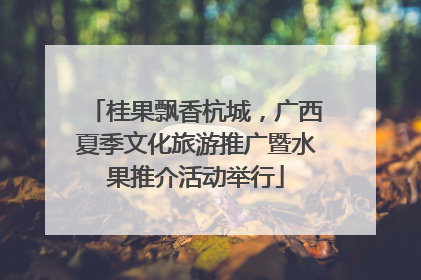 桂果飘香杭城，广西夏季文化旅游推广暨水果推介活动举行