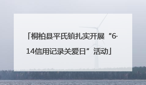桐柏县平氏镇扎实开展“6·14信用记录关爱日”活动