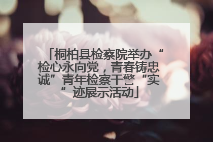 桐柏县检察院举办“检心永向党，青春铸忠诚”青年检察干警“实”迹展示活动