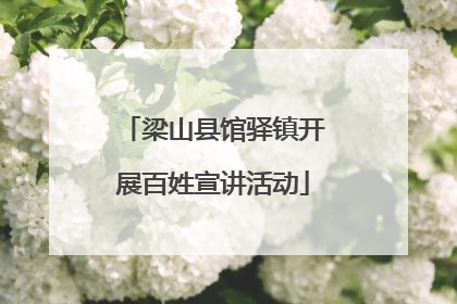 梁山县馆驿镇开展百姓宣讲活动