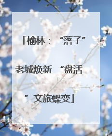 榆林：“落子”老城焕新 “盘活”文旅蝶变