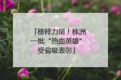 榜样力量！株洲一批“热血英雄”受省级表彰