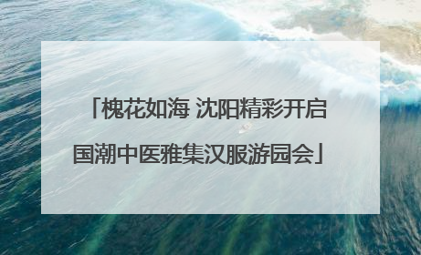 槐花如海 沈阳精彩开启国潮中医雅集汉服游园会